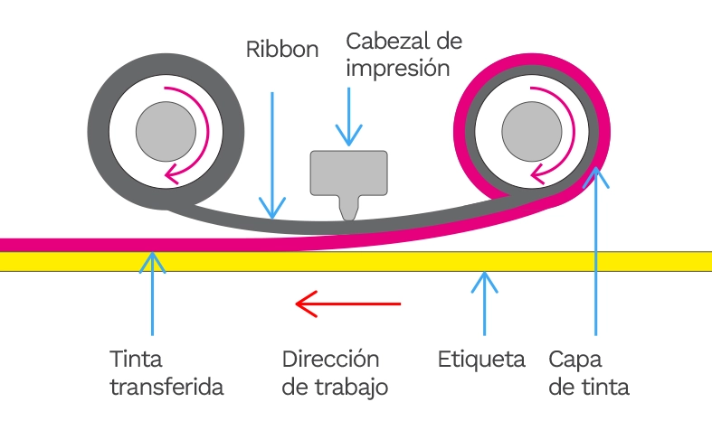 Diagrama_Ribbons