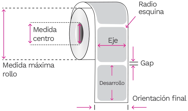 Anatomía_img